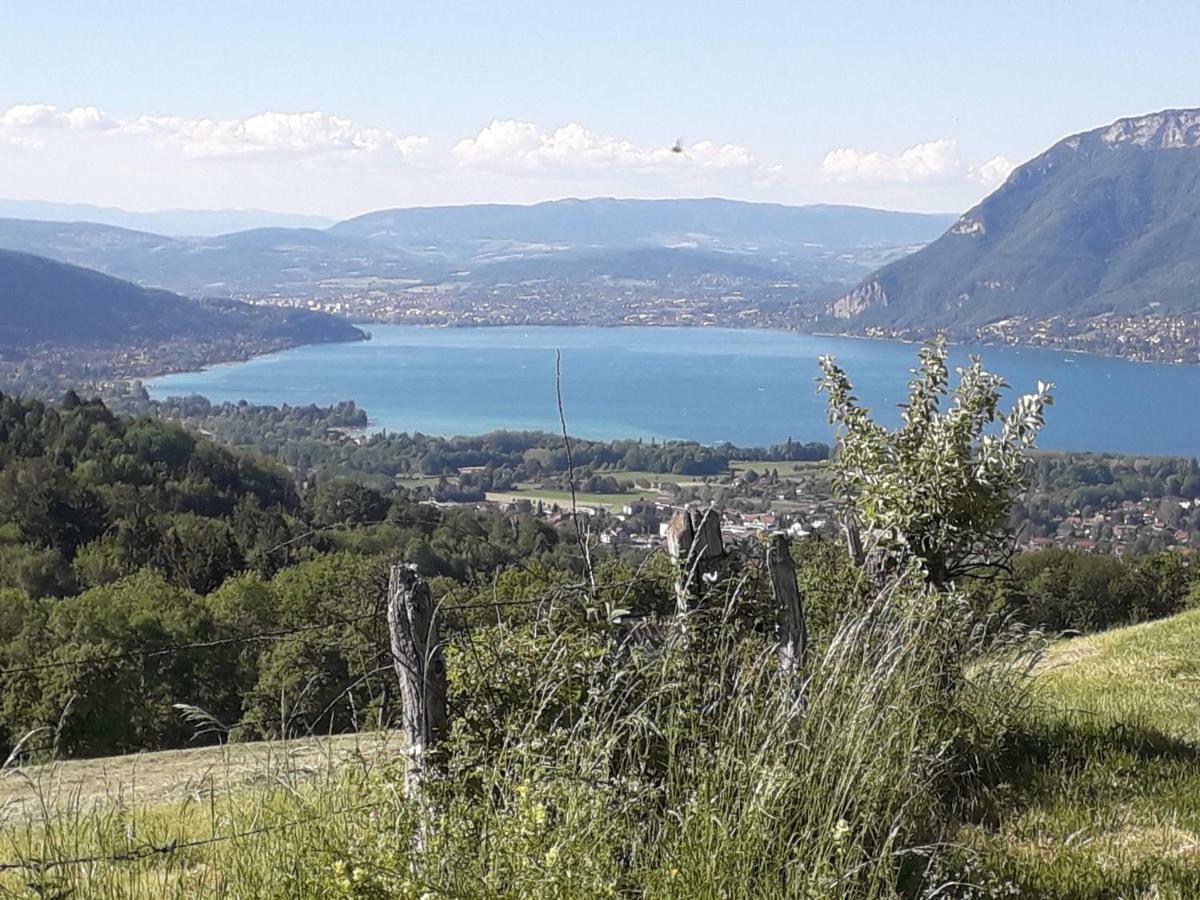Lac Et Montagnes En Un Clin D'Oeil Duingt Buitenkant foto